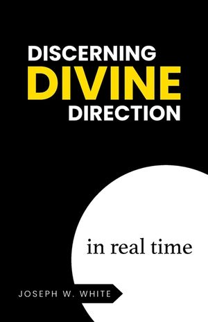 Discerning Divine Direction in Real Time image number 0