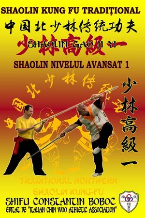 Shaolin Nivelul Avansat 1 image number 0