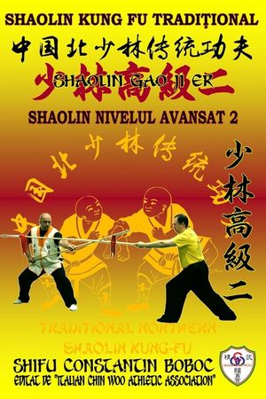 Shaolin Nivelul Avansat 2 image number 0