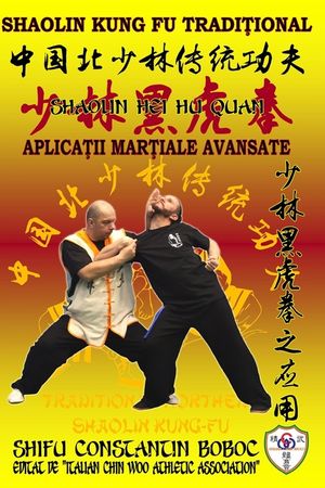 Shaolin Hei Hu Quan - Boxul Tigrului Negru de la Shaolin image number 0