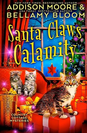 Santa Claws Calamity image number 0