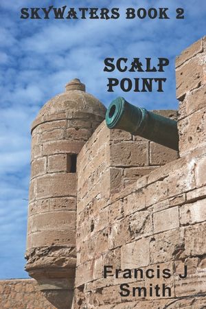 Scalp Point image number 0