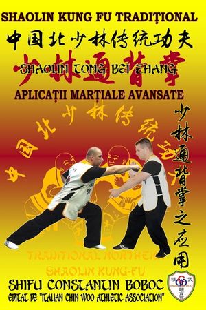 Shaolin Tong Bei Zhang - Boxul Palmei &Icirc;ntoarse de la Shaolin image number 0