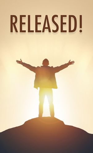 Released! image number 0