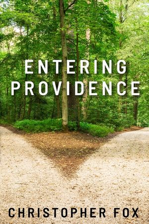 Entering Providence image number 0