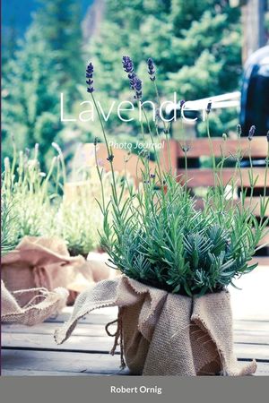 Lavender: Photo Journal image number 0