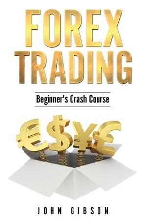 Forex Trading: The Beginner's Crash Course image number 0