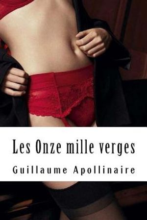 Les Onze mille verges: ou les Amours d'un hospodar image number 0