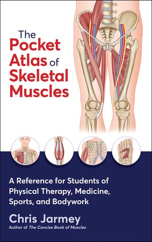 The Pocket Atlas of Skeletal Muscles image number 0