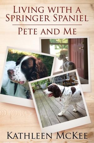 Living with a Springer Spaniel: Pete and Me image number 0
