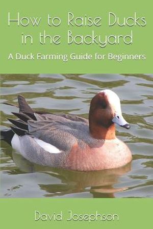 How to Raise Ducks in the Backyard: A Duck Farming Guide for Beginners image number 0