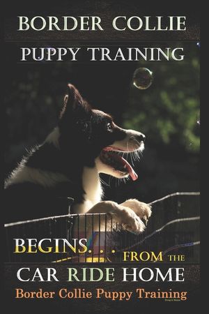 Border Collie Puppy Training Begins. . . From the Car Ride Home: Border Collie Puppy Training image number 0