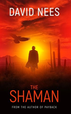 The Shaman: Book Two in the Dan Stone Series image number 0