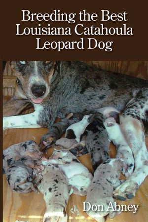 Breeding the Best Louisiana Catahoula Leopard Dog image number 0