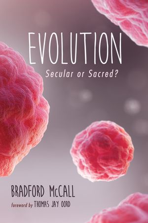 Evolution image number 0