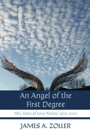An Angel of the First Degree image number 0