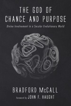 The God of Chance and Purpose image number 0