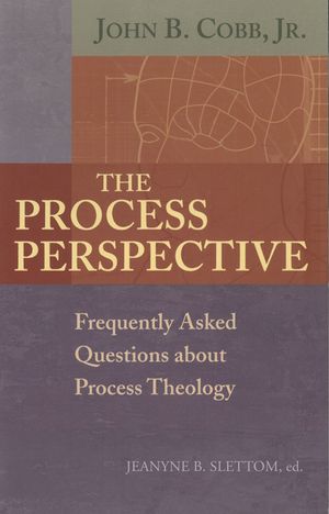 The Process Perspective image number 0