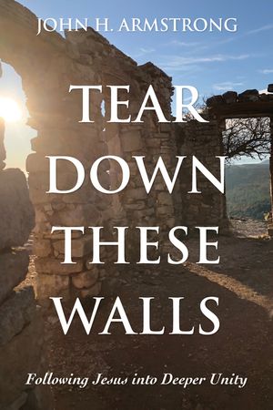 Tear Down These Walls: Following Jesus into Deeper Unity image number 0