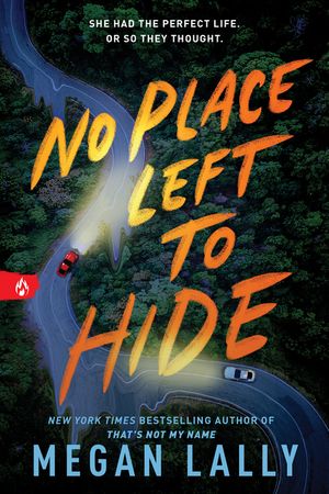 No Place Left to Hide image number 0