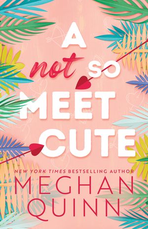 A Not So Meet Cute image number 0