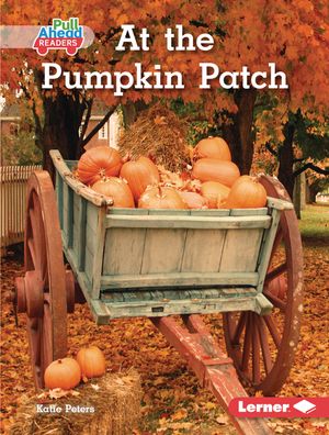 At the Pumpkin Patch image number 0