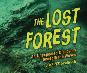 The Lost Forest: An Unexpected Discovery Beneath the Waves image number 0