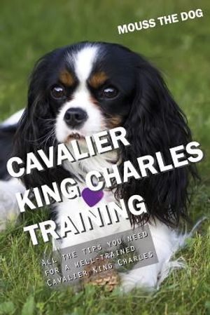 Cavalier King Charles Training: All the Tips You Need for a Well-Trained Cavalier King Charles image number 0
