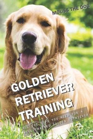 Golden Retriever Training: All the Tips You Need for a Well-Trained Golden Retriever image number 0