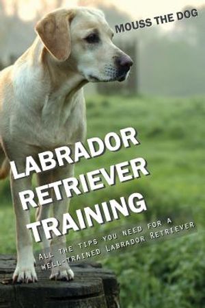 Labrador Retriever Training: All the Tips You Need for a Well-Trained Labrador Retriever image number 0