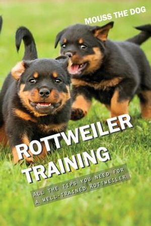 Rottweiler Training: All the Tips You Need for a Well-Trained Rottweiler image number 0