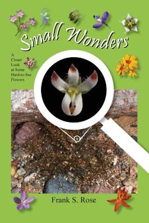 Small Wonders: A Closer Look at Some Hard-to-See Flowers image number 0