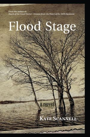Flood Stage -- A Novel image number 0