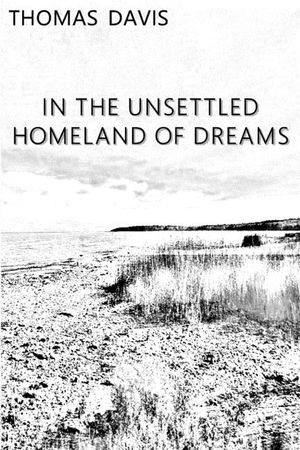 In the Unsettled Homeland of Dreams image number 0