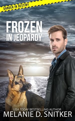 Frozen in Jeopardy: Christian Romantic Suspense image number 0