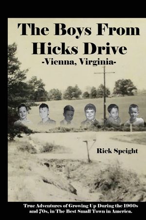 The Boys From Hicks Drive Vienna, Virginia: True Adventures of Growing Up During the 1960s and 70s in The Best Small Town in America image number 0