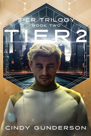 Tier 2 image number 0