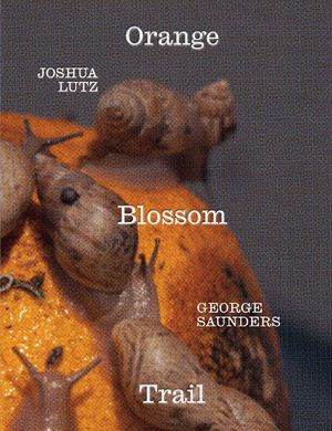 George Saunders and Joshua Lutz: Orange Blossom Trail image number 0