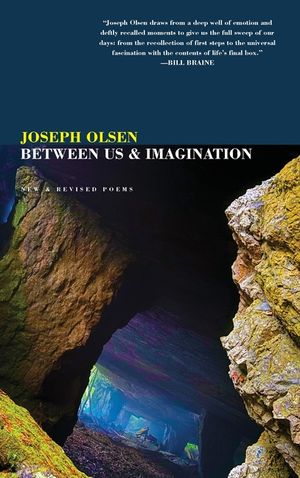 Between Us And Imagination: New & Revised Poems image number 0