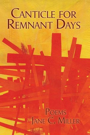 Canticle for Remnant Days image number 0