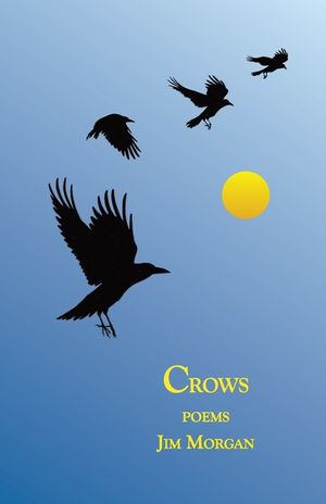 Crows image number 0