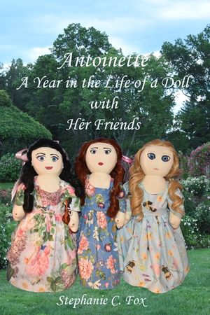 Antoinette: A Year in the Life of a Doll with Her Friends image number 0