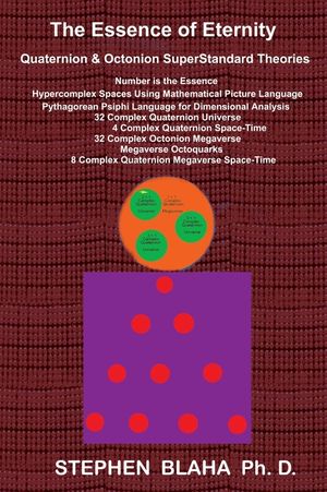 The Essence of Eternity: Quaternion & Octonion SuperStandard Theories image number 0