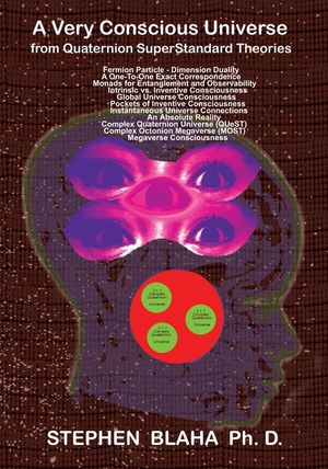A Very Conscious Universe from Quaternion SuperStandard Theories image number 0