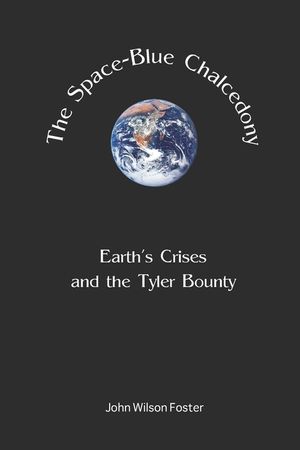 The Space Blue Chalcedony: Earth's Crises and the Tyler Bounty image number 0