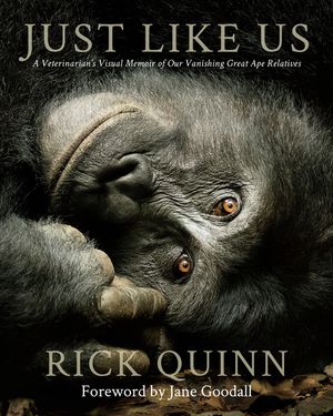 Just Like Us: A Veterinarian's Visual Memoir of Our Vanishing Great Ape Relatives image number 0