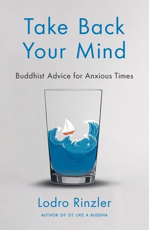 Take Back Your Mind: Buddhist Advice for Anxious Times: Buddhist Advice for Anxious Times image number 0