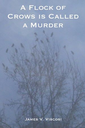 A Flock of Crows is Called a Murder image number 0