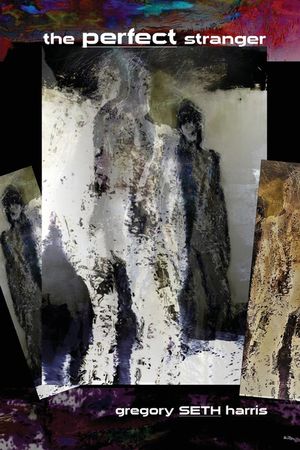 The Perfect Stranger image number 0