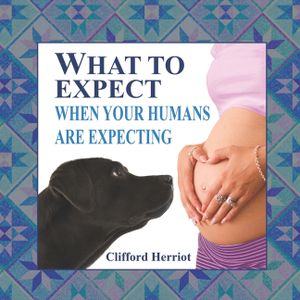 What to Expect When Your Humans are Expecting image number 0